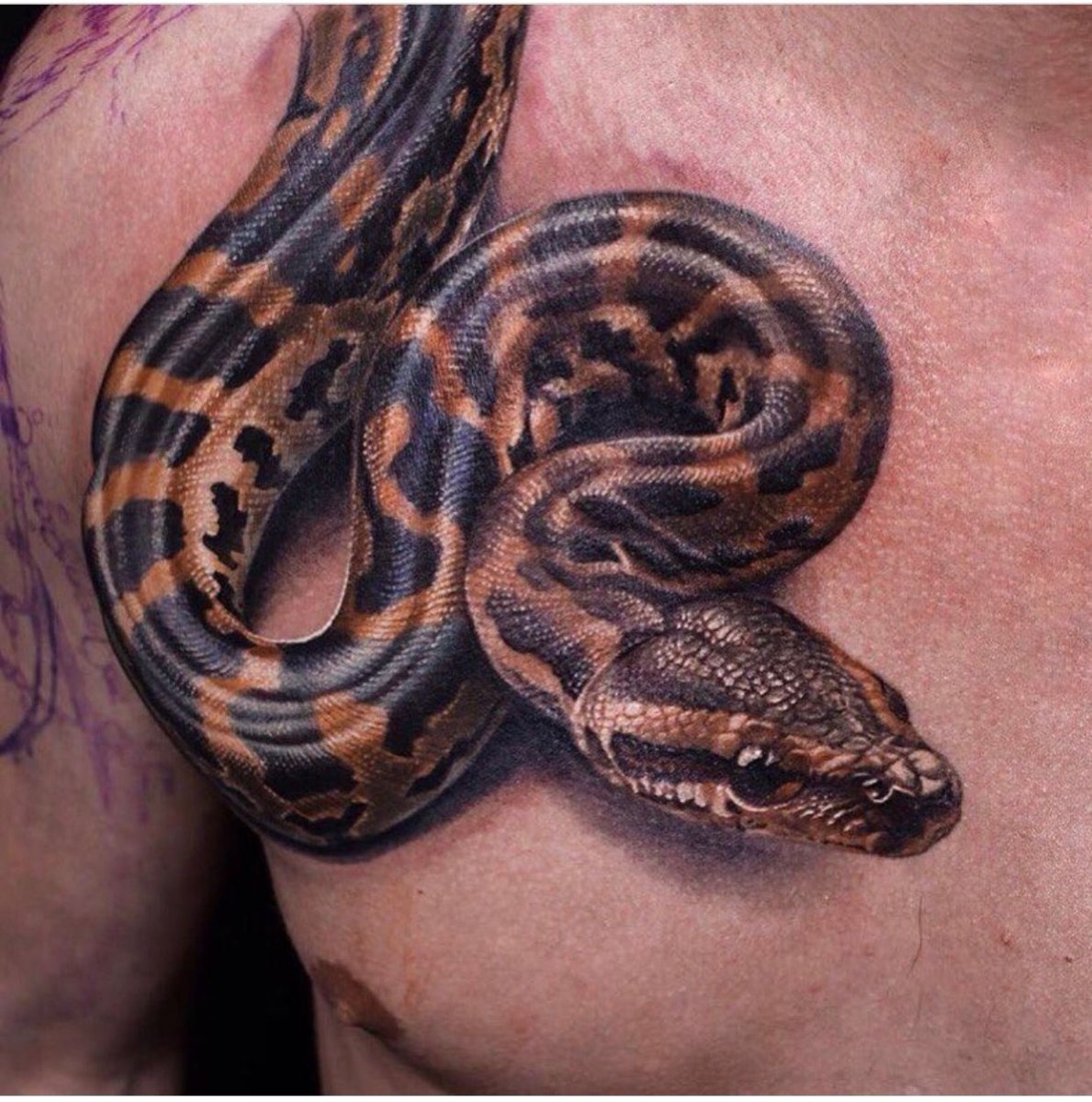 Техасская узкоротая змея