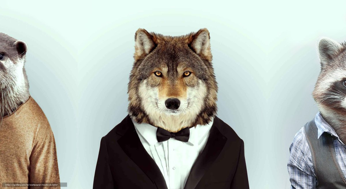 Костюм волка