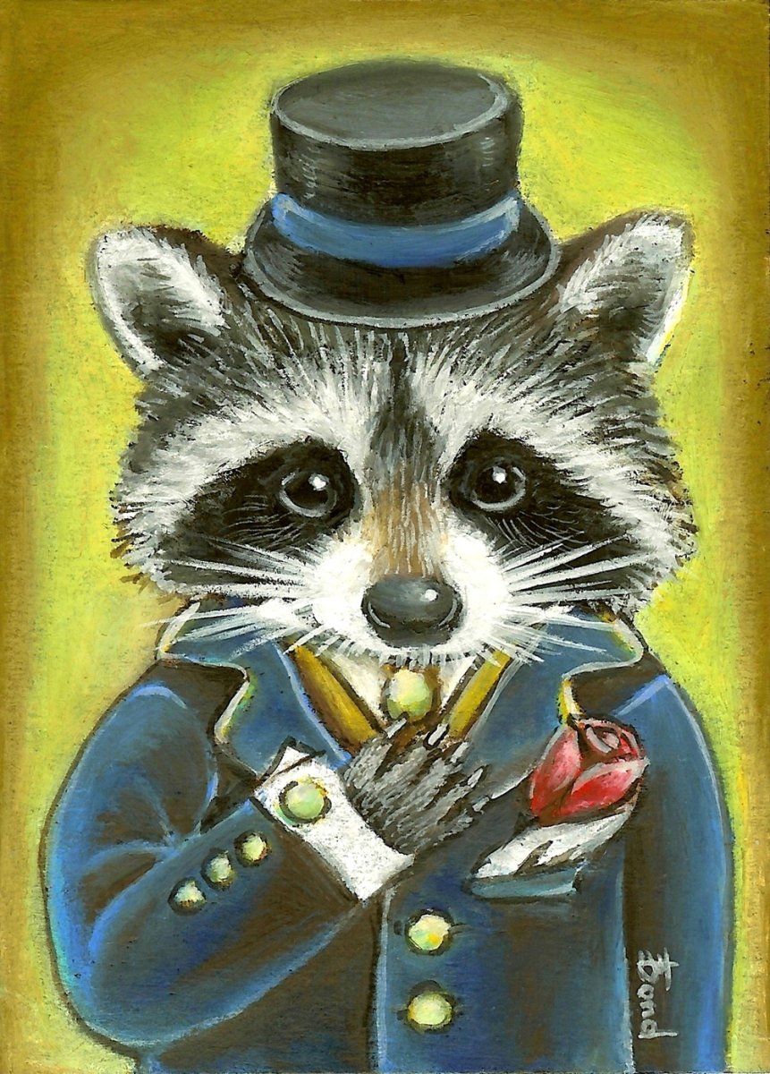 Енот рисунок