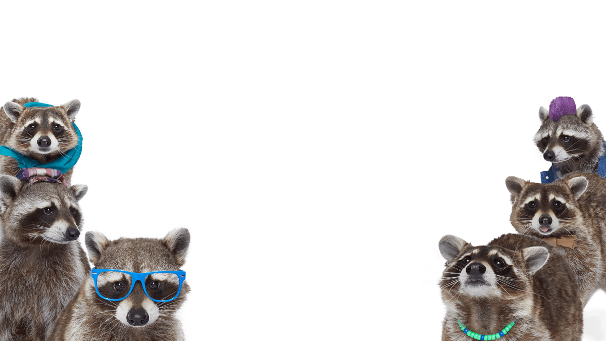 Милые еноты