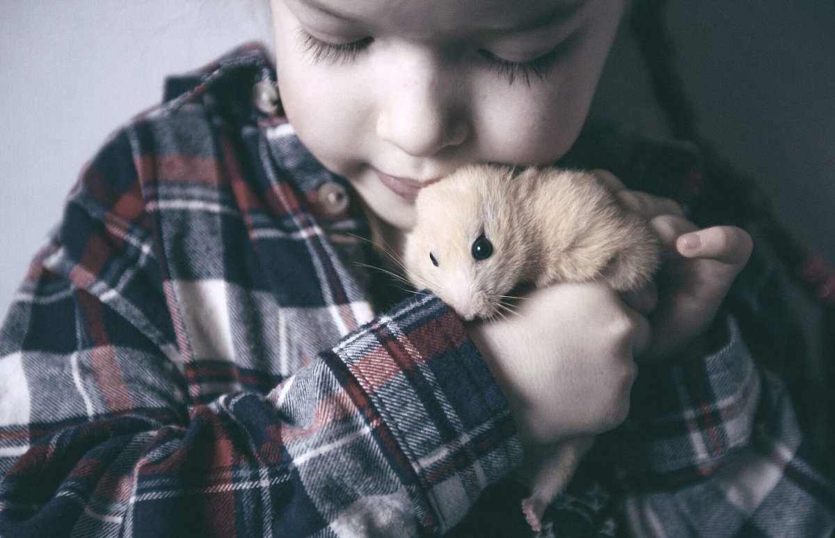 Девушка хомяк