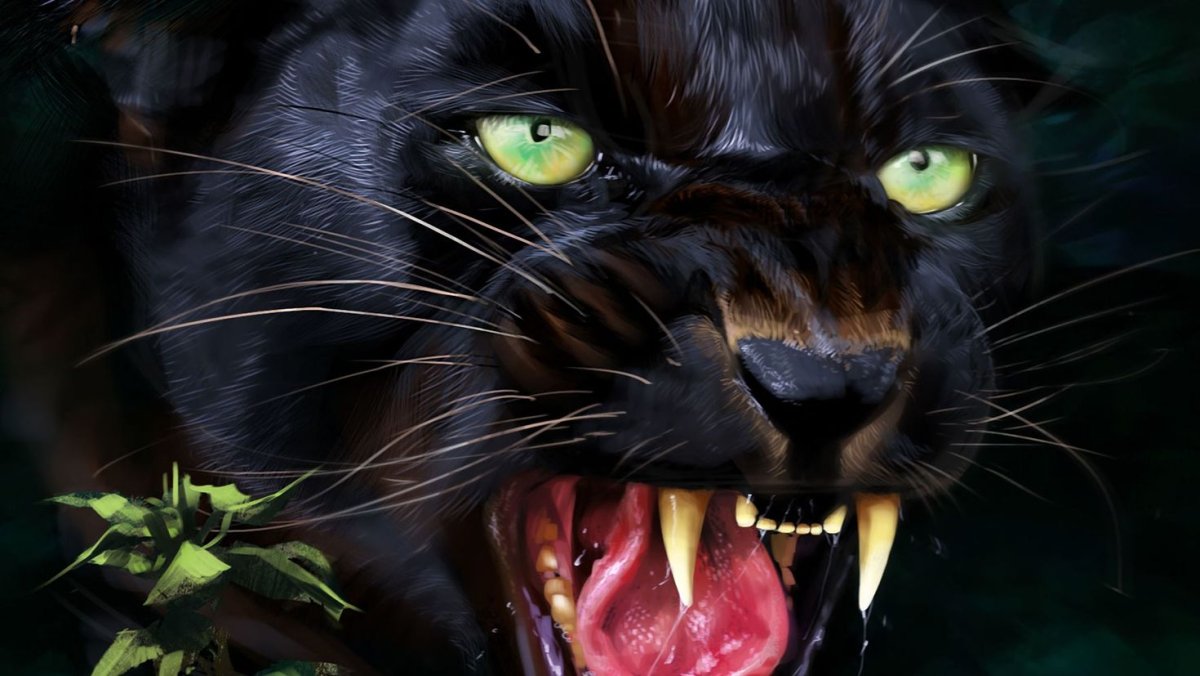 Черная заставка на рабочий стол