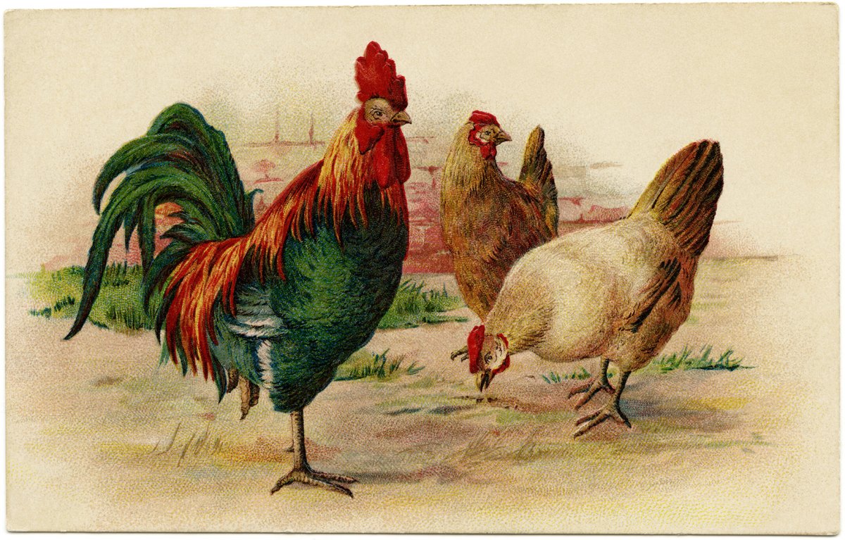 Петушки для декупажа