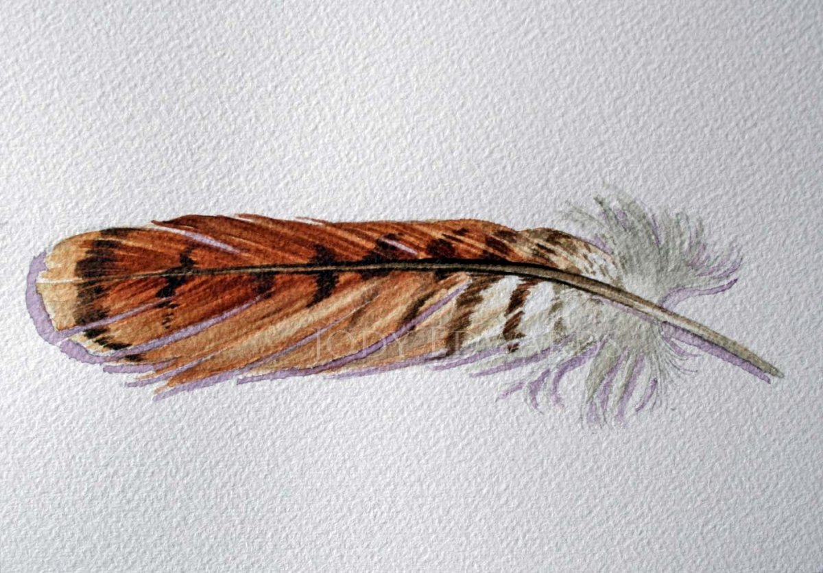 Пестрые перья