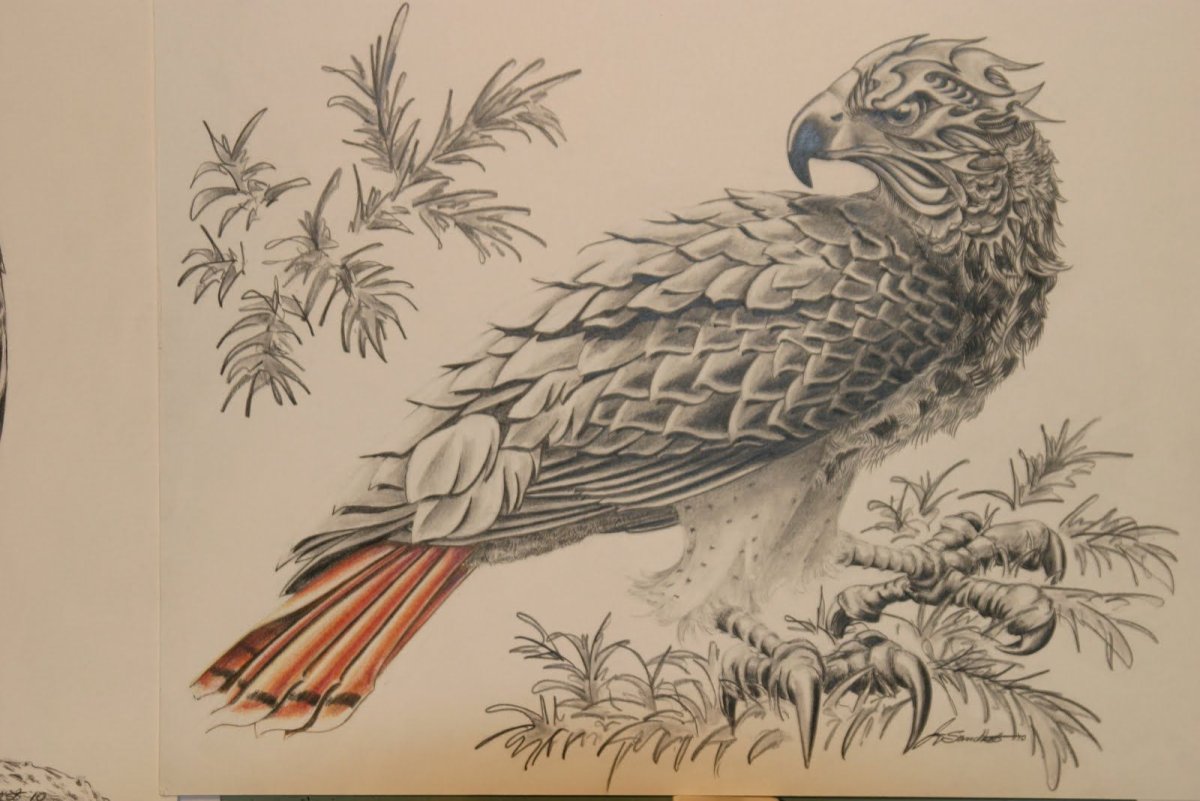 Беркут балобан