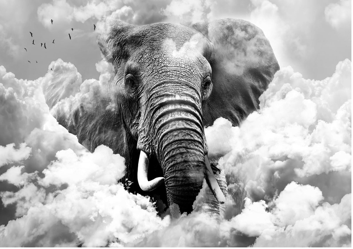 Слон в цвете