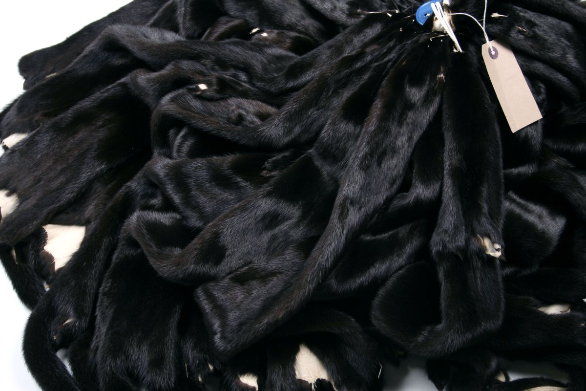 Шерсть темная