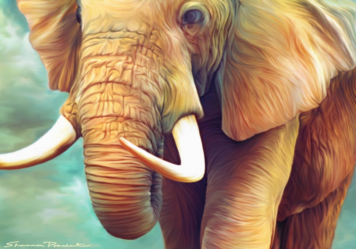 Слон и слониха