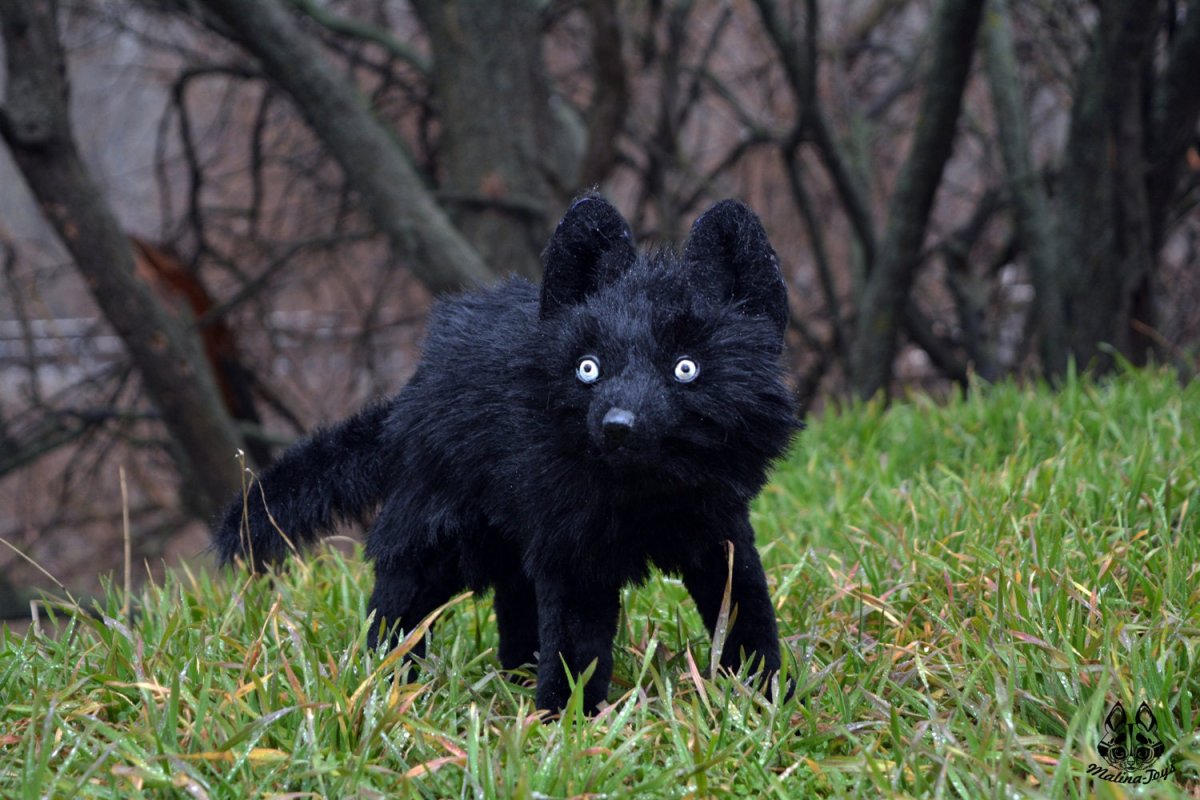 Пушные звери на ферме