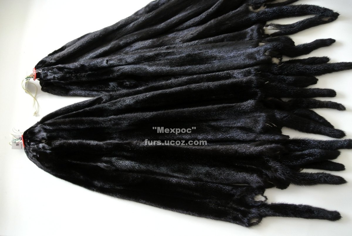 Норка блэкглама зверек