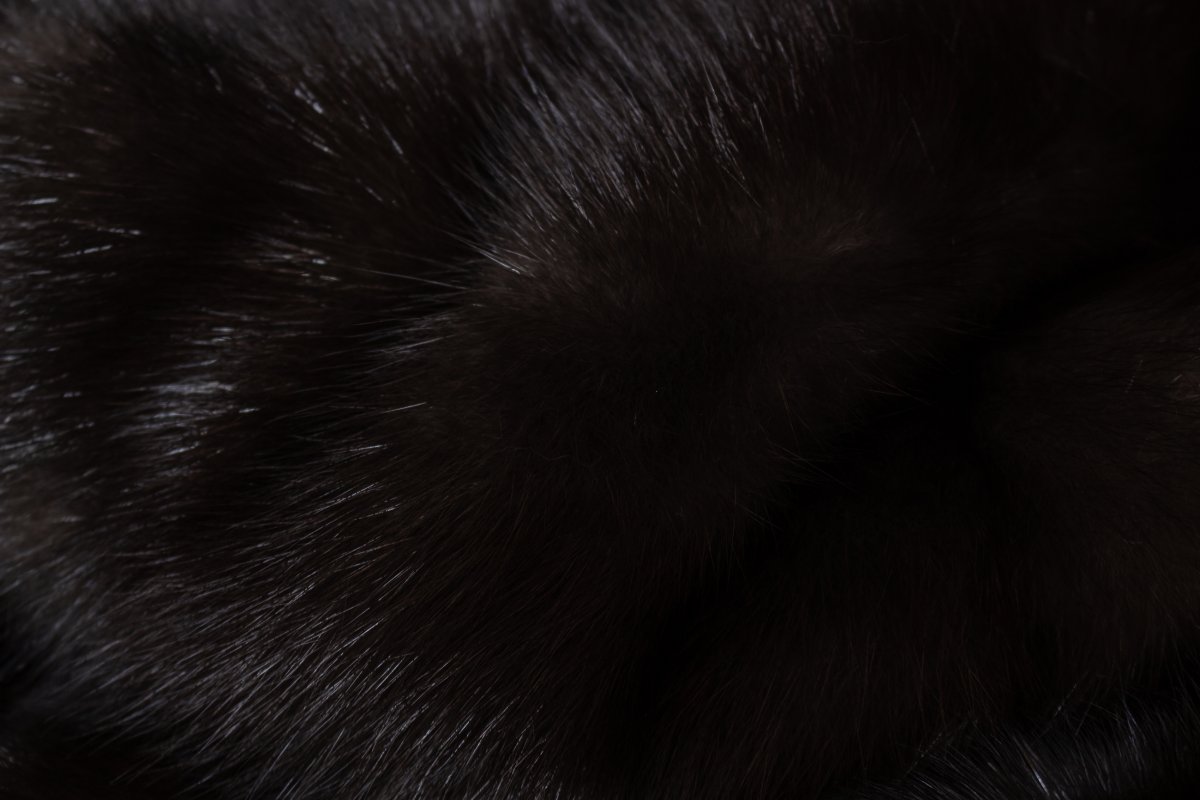 Лейбл Блэк Нафа