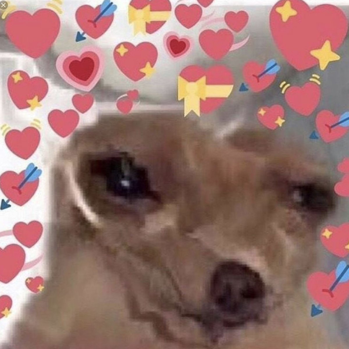 Плачущий кот с сердечками