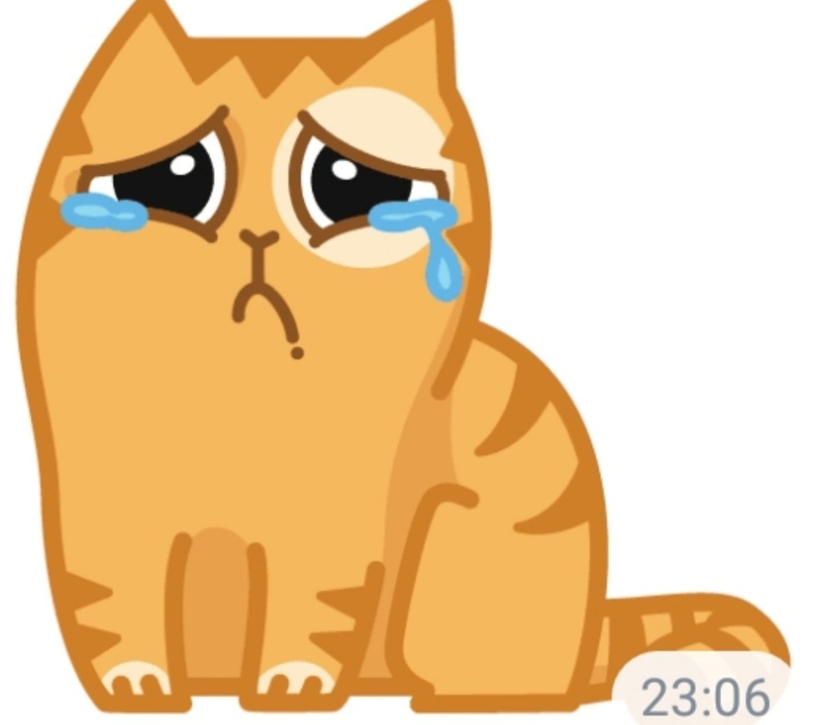 Кот с телефоном плачет