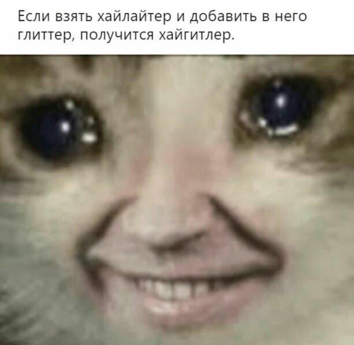 Грустный котенок