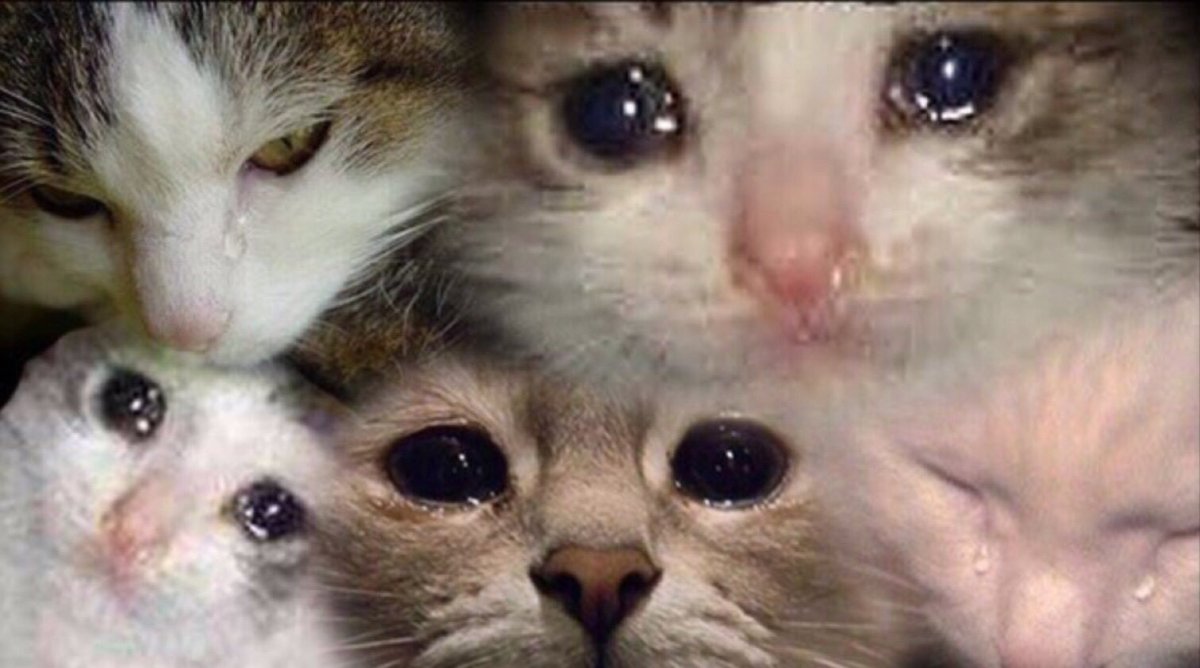 Котик со слезами