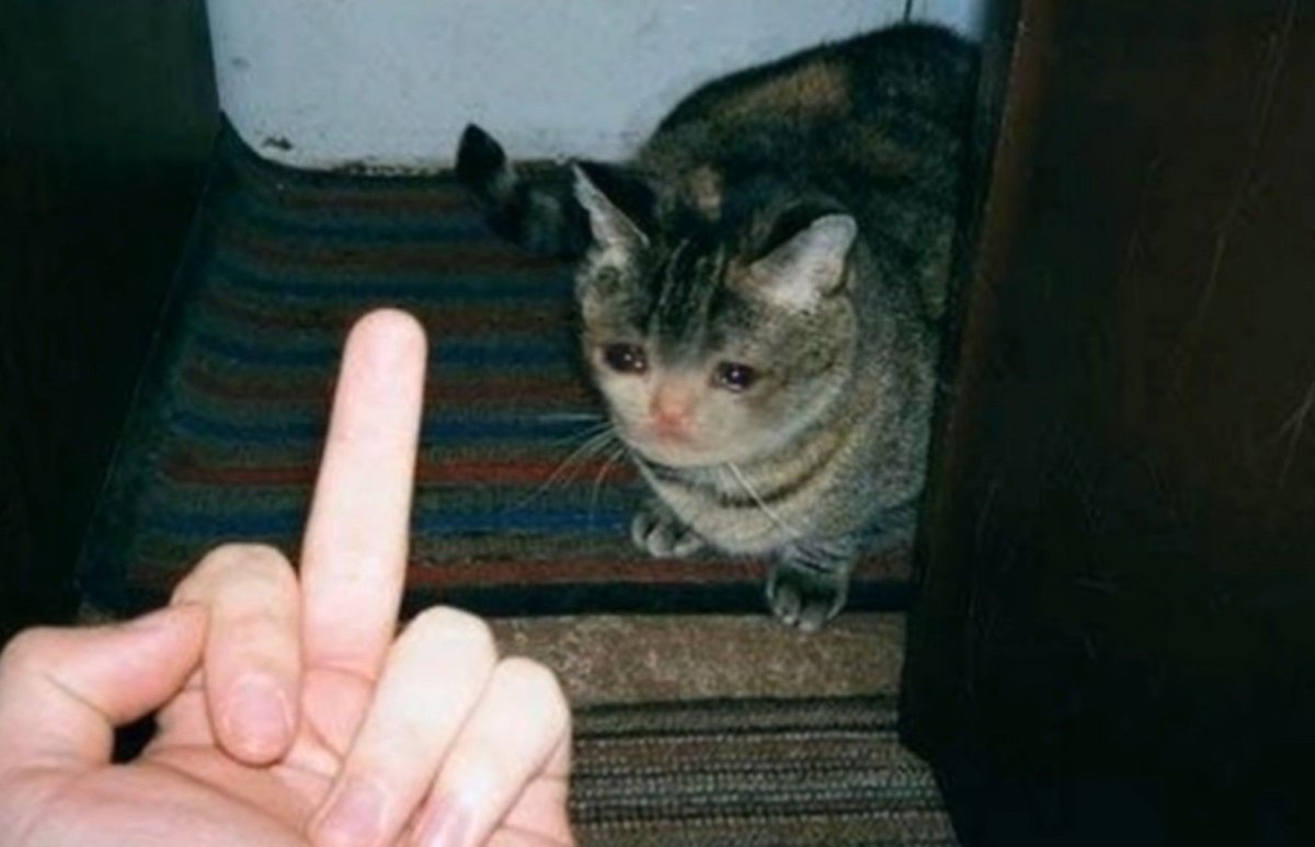 Грустный кот