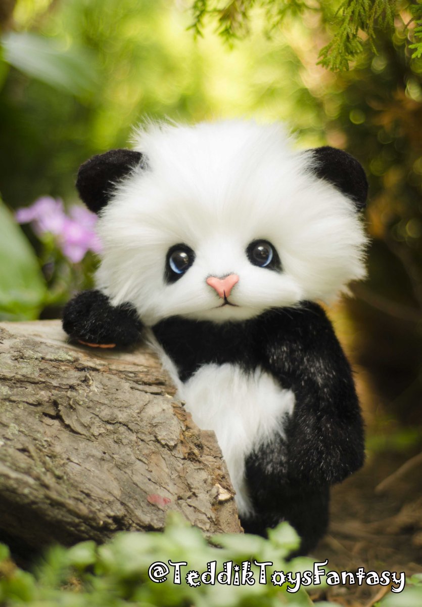 Как выглядят самые милые животные