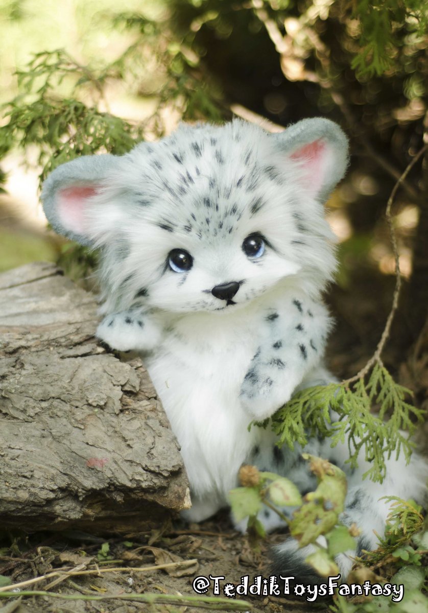 Пушистые звери