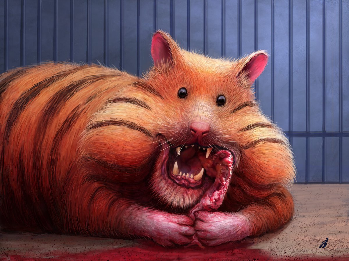 Гибрид джунгарского хомяка