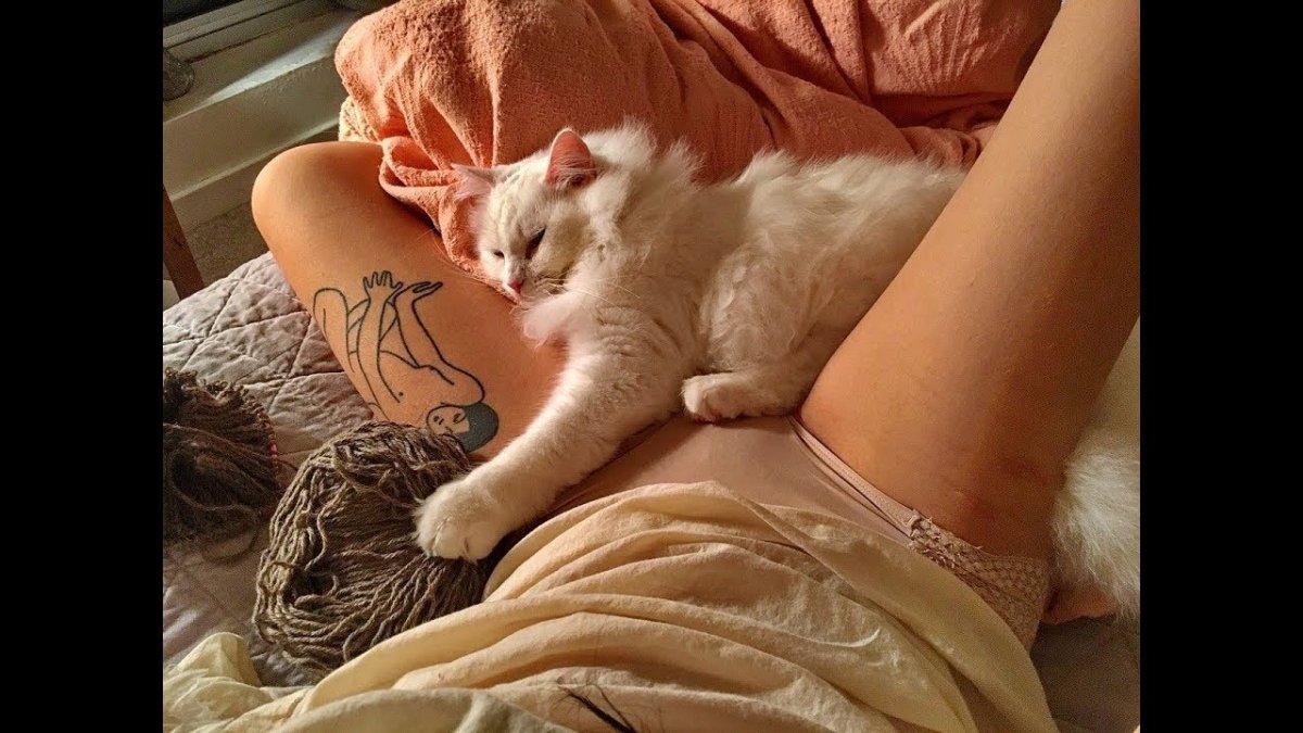 Самые красивые киски девушек