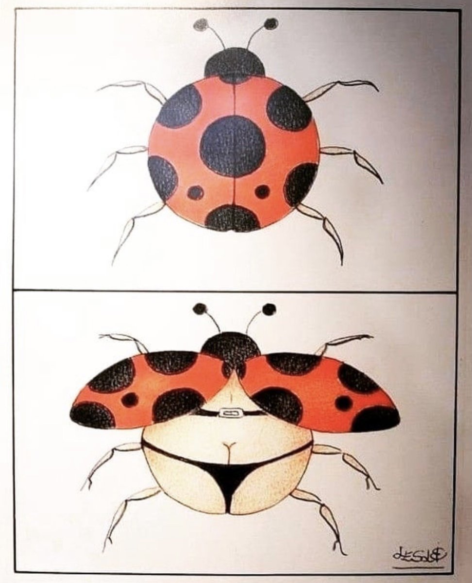 Мордочка Божьей коровки