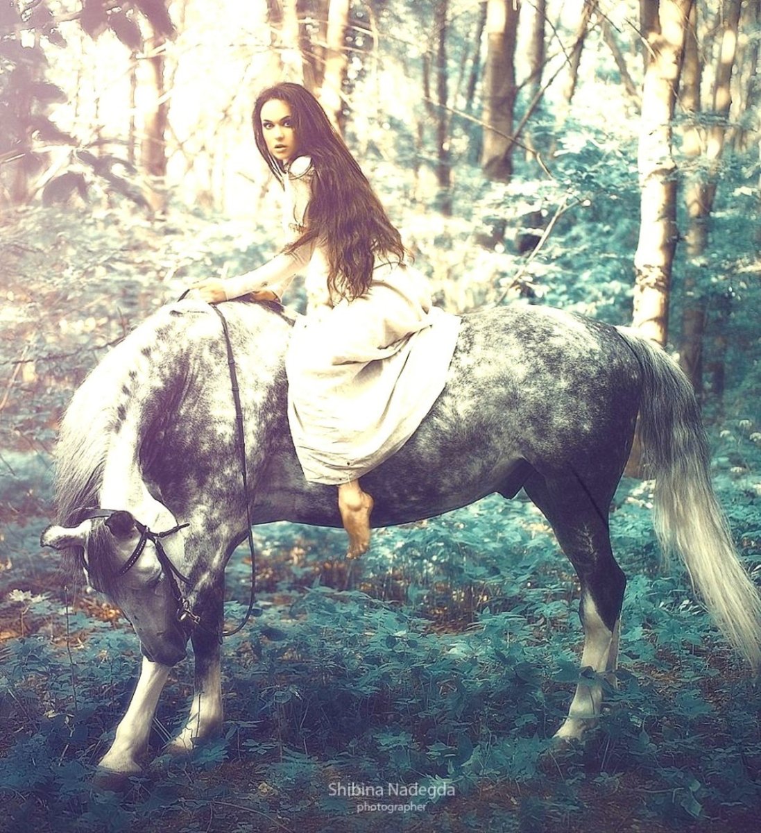 Лучник на лошади