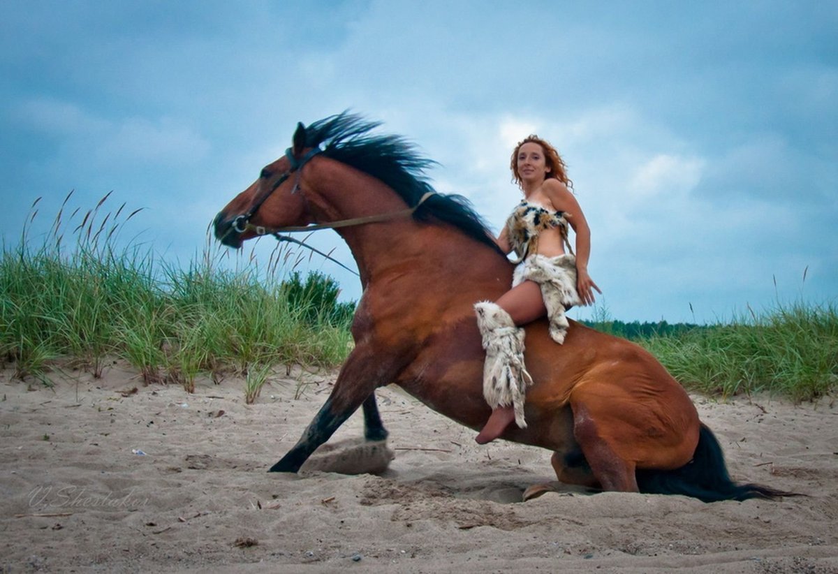 Beautiful Photoshoots with Horse on the Beach