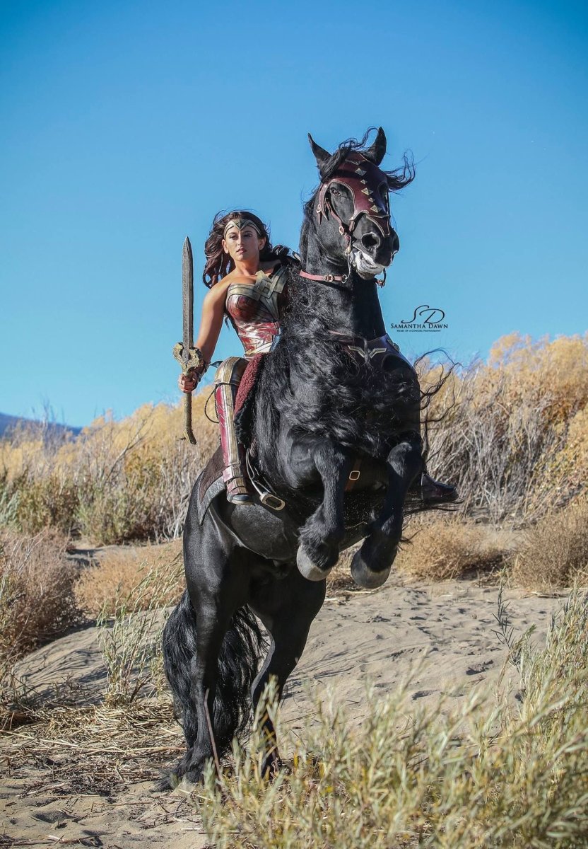 Амазонка женщина на коне