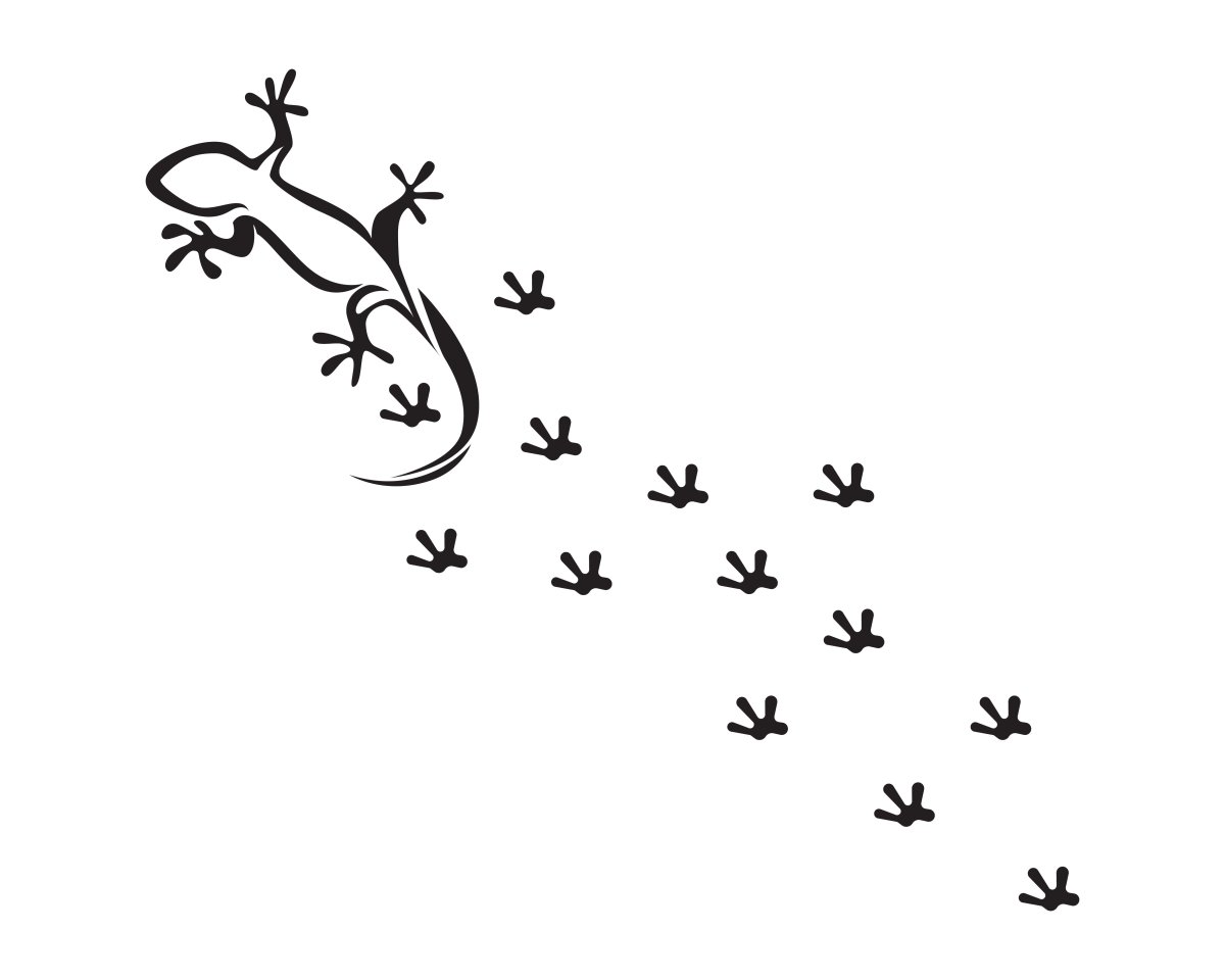 Следы ящерицы