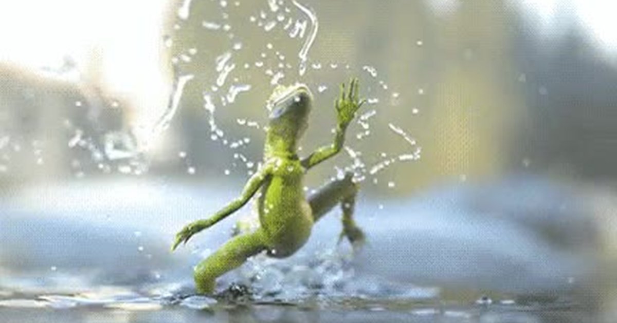 Ящерица бежит по воде