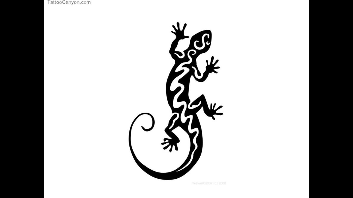 Ящерка сверху