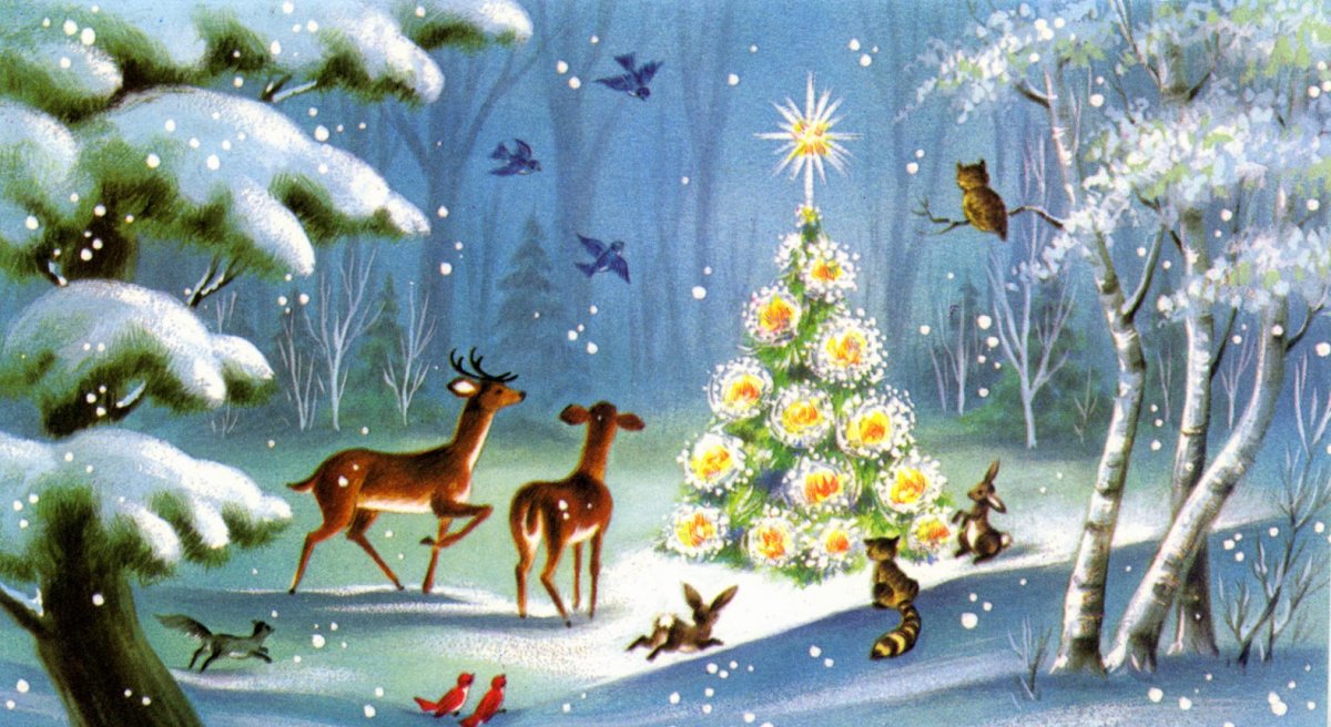 Сказки зимнего леса