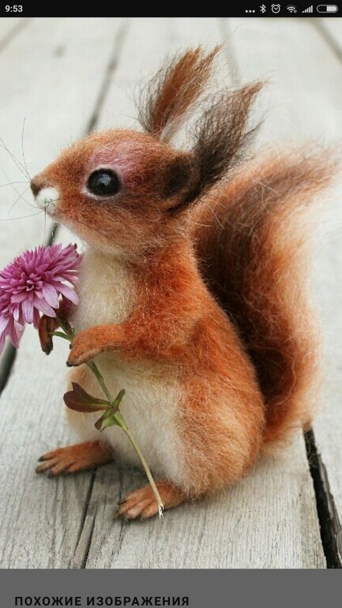 Белка из шерсти валяние