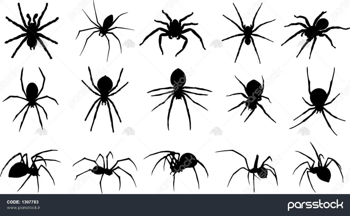 Паук на Хэллоуин маленькие