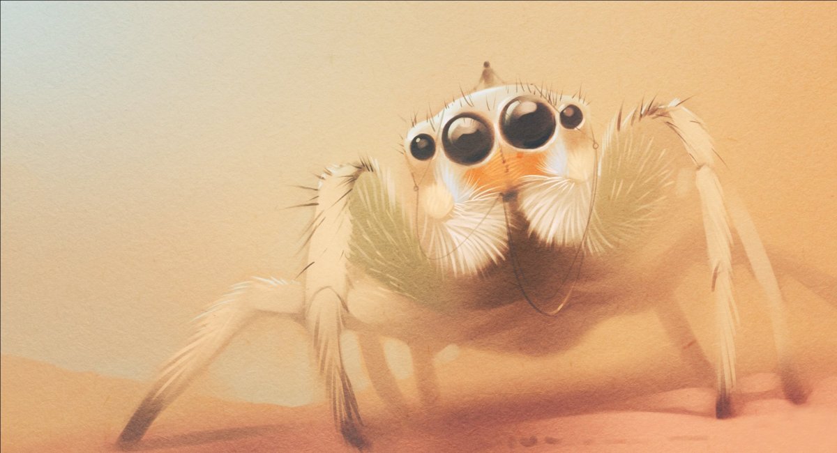 Милые пауки