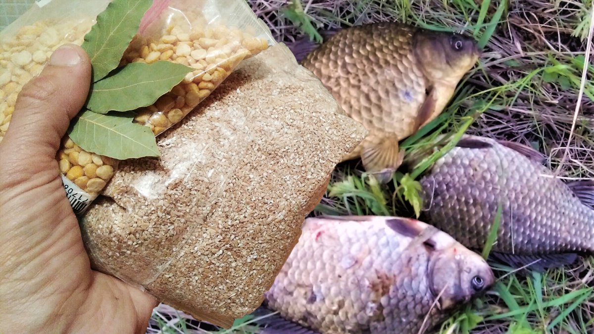 Карасятник в Екатеринбурге