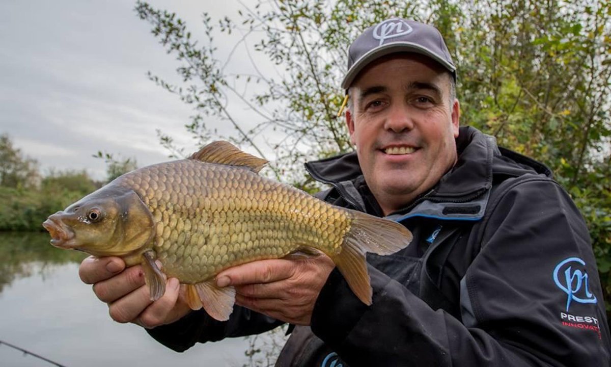 Гибридный карась