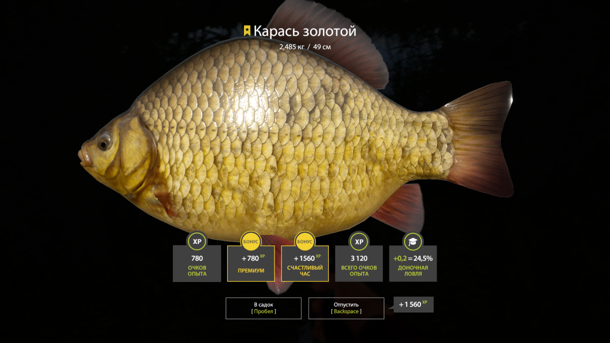 Золотой карась рр4