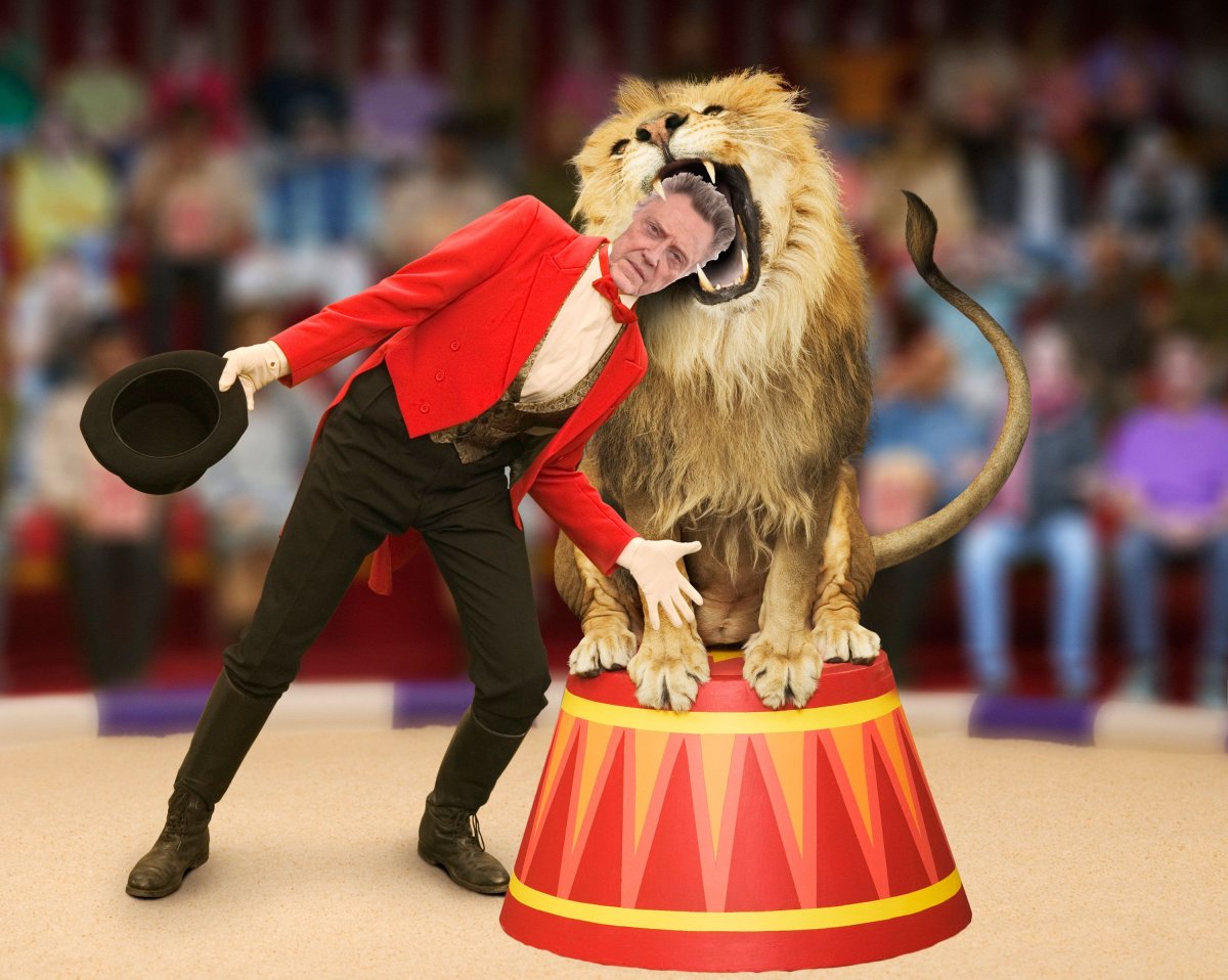 Шимпанзе в цирке