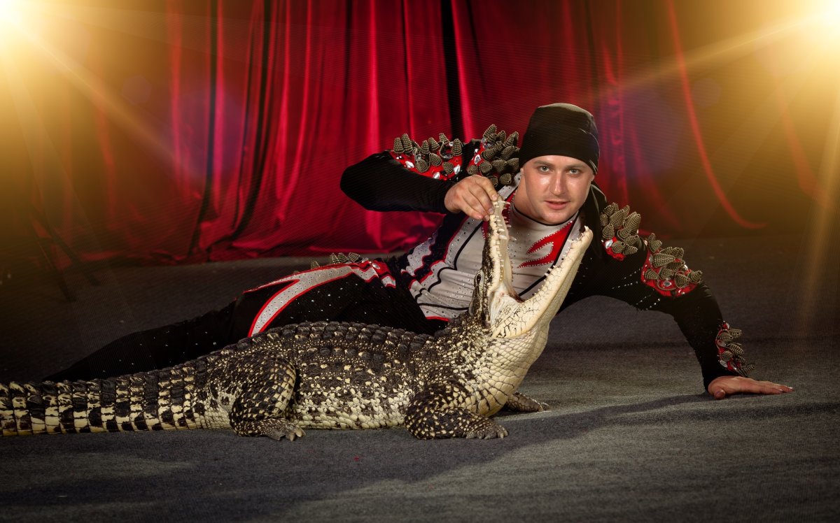 Где учиться на дрессировщика животных