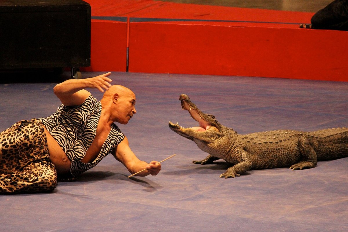 Бенджамин Клоутер дрессировщик