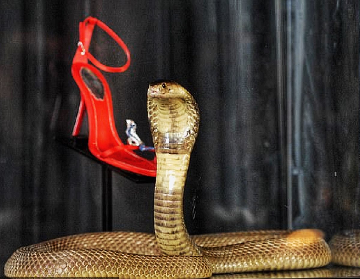 Джони шоу маска Джонни крокодил