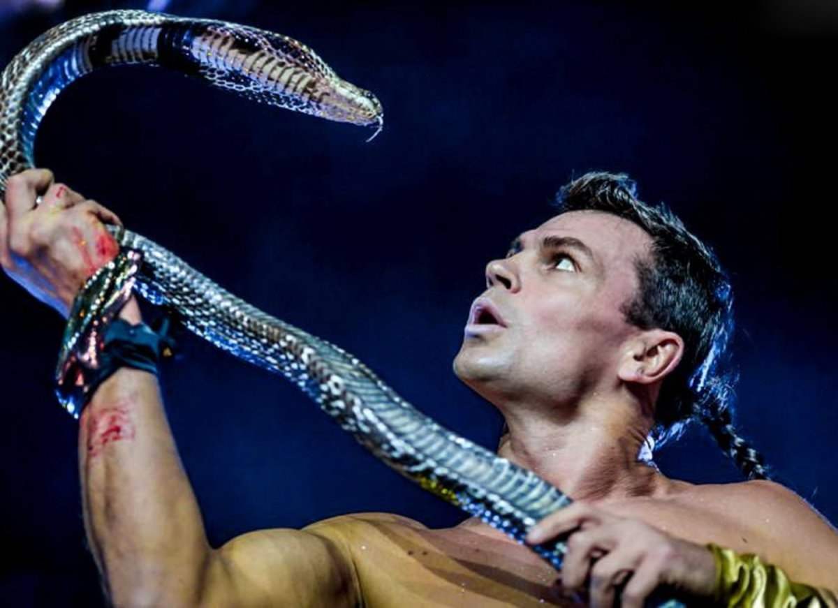 Шоу маска 2 змея