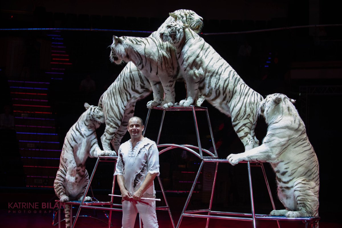 Девушка змея