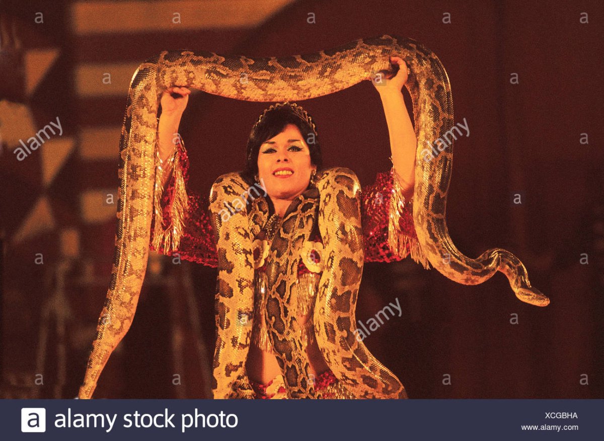 Женщина змея цирк