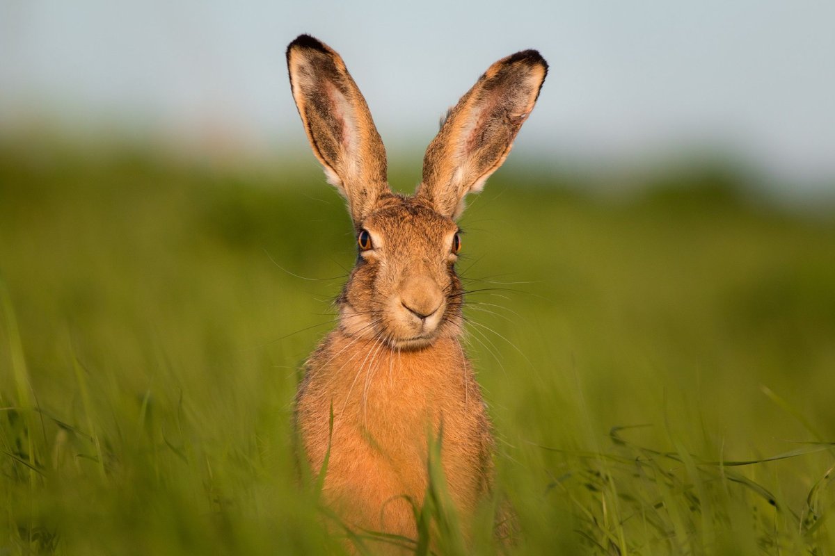 Дмитрий Вилюнов фотограф