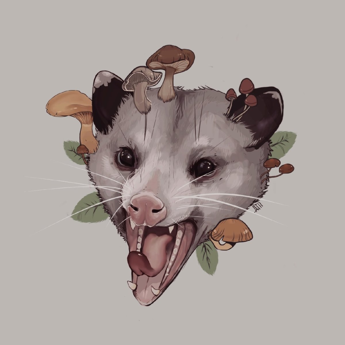 Опоссум мультяшка