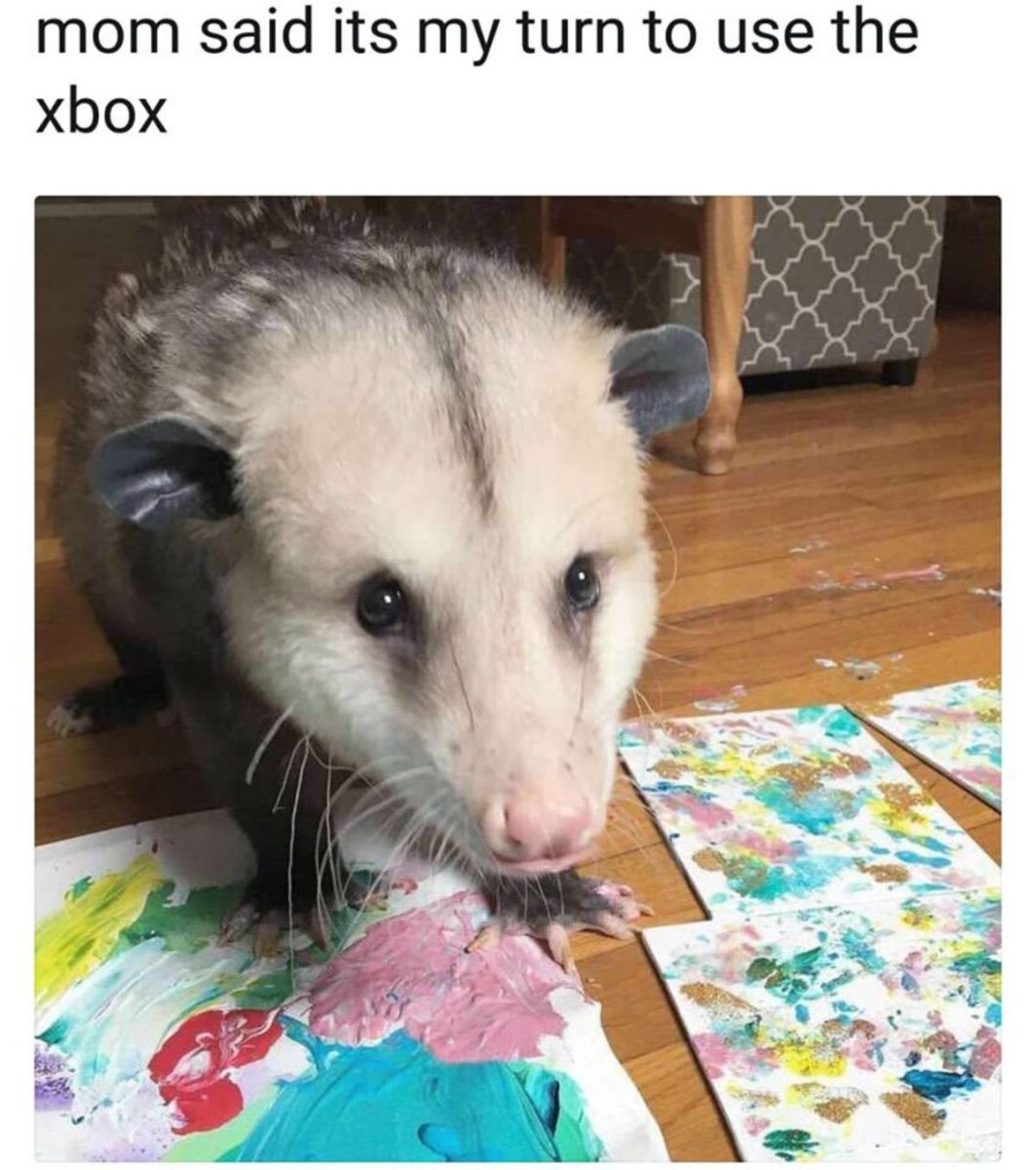 Опоссум с днем рождения