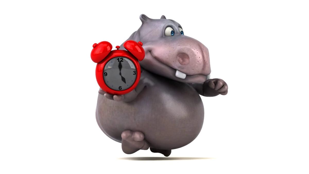 Берлинский зоопарк Бегемот