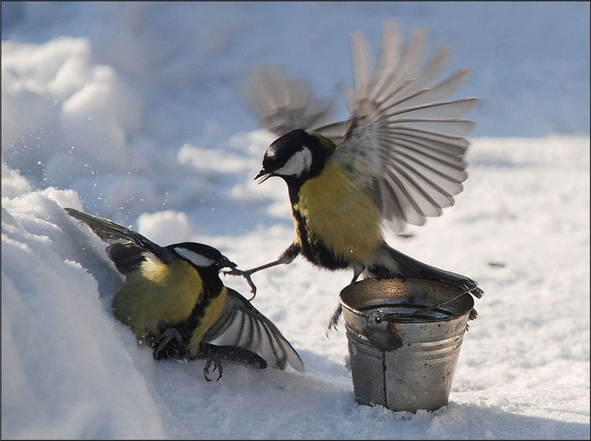 Агафий полухлебник 5 февраля